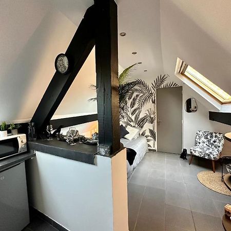 Studio Chaleureux Hypercentre Amiens Buitenkant foto
